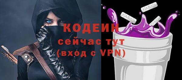 таблы Бородино