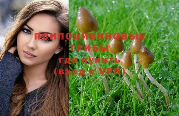 таблы Бородино