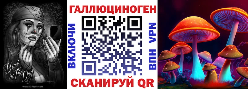 где продают наркотики  Новохопёрск  Псилоцибиновые грибы ЛСД 